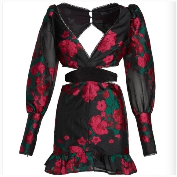 NWT For Love & Lemons Nico Dress 🌹Size 1X - Picture 3 of 13